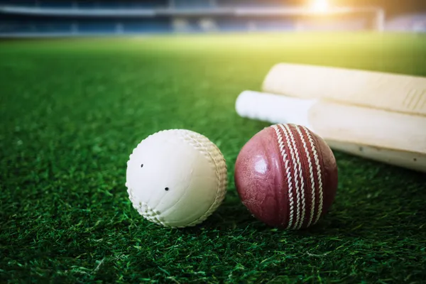 KRIKYAA Member Login — Return to your personalized dashboard A person using their device against a moody casino-themed background, illustrating the smooth re-entry process at KRIKYAA.